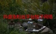 dy粉丝0.1元10000个:抖音攻略链接24自助怎么充值