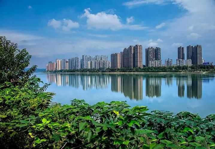 四川省乐山市市中区最新曲线图表：寻找同轨迹人员_乐山区域