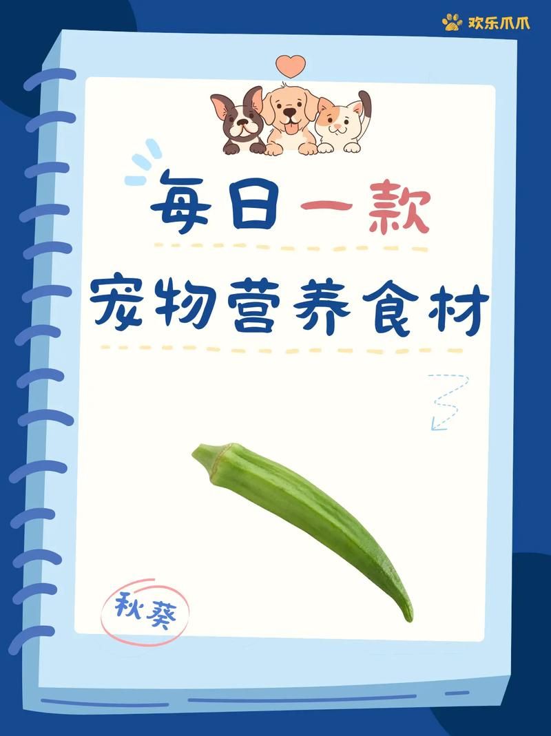 每天免费领一千赞网站-实测科普：