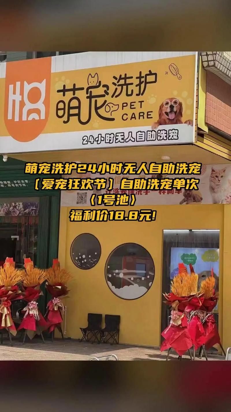 dyh自助下单:限时分享(运营)自助运营教程