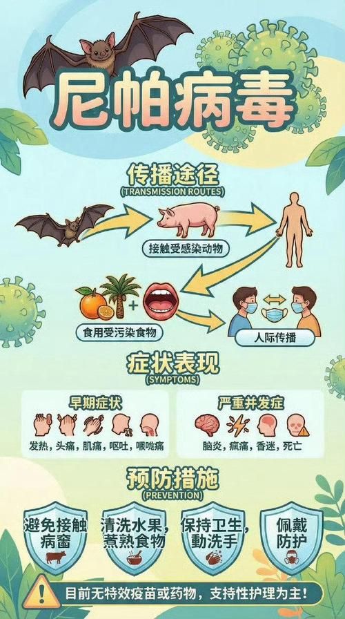 全球增23例无症状感染者(全球无一例感染国家排名今天头条)