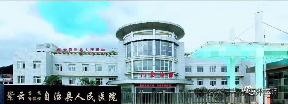 紫云苗族布依族自治县现有重症27例_紫云苗族布依族自治县人民政府网