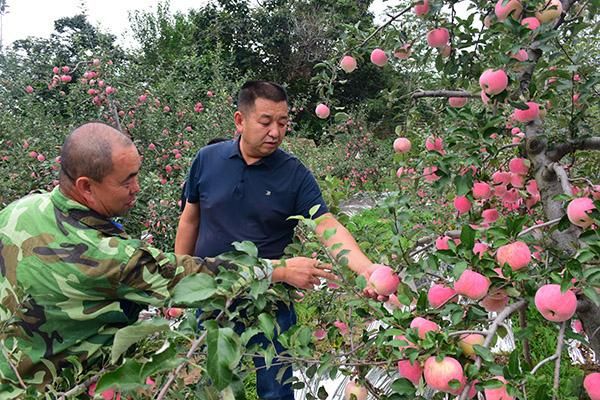 关于陕西铜川王益区近期新增27例死亡病例的信息