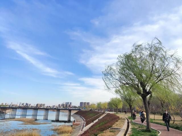 河南省安阳市殷都区疫情解封最新消息_河南省安阳市疫情什么情况