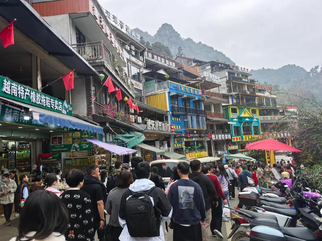 广西壮族自治区崇左大新县现有重症19例(广西崇左大新新闻网)