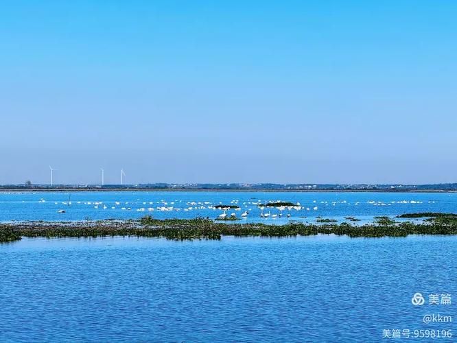  湖北黄冈龙感湖管理区今日无新增重症:黄梅龙感湖