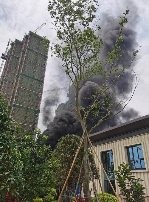  藤县最新通告：所有人员足不出户:藤县最新信息