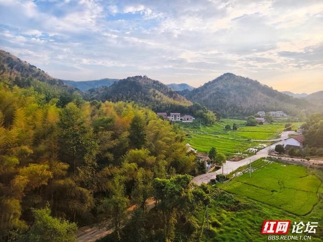 湖南益阳资阳区今冬最新消息疫情_红网益阳资阳新闻