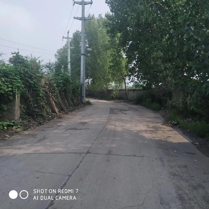 【解读疫情最新消息安徽淮南谢家集区_淮南谢家集区号是多少】