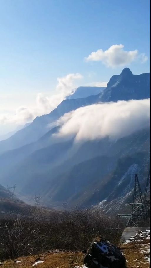 一张图看懂近4天四川乐山金口河区疫情:乐山金口河区图片