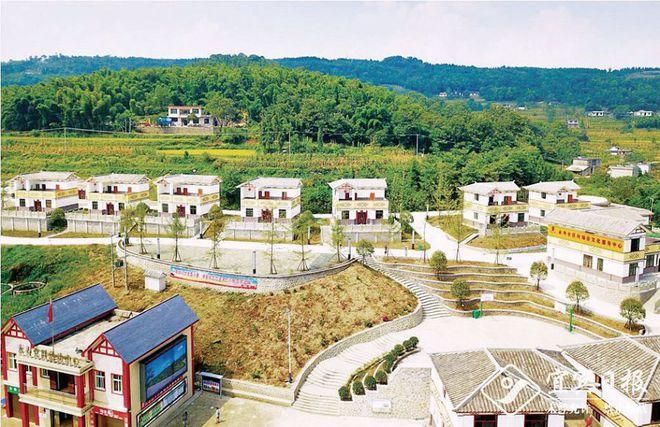 今日高坪区最新消息疫情:今日高县