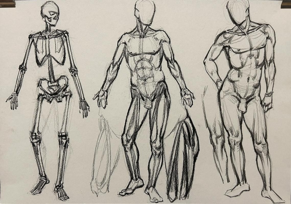 淳安县最新疫情(人体结构几何体速写)