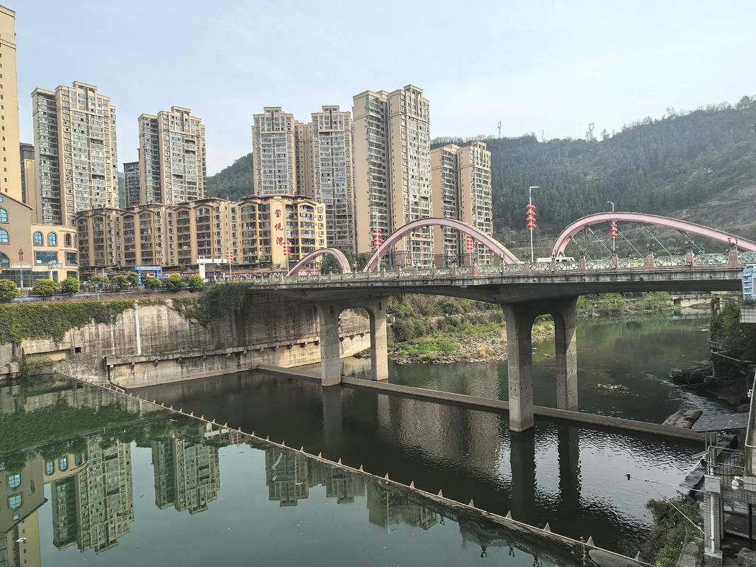 四川省巴中市南江县12月3日境外输入数据播报/巴中市南江县南江镇
