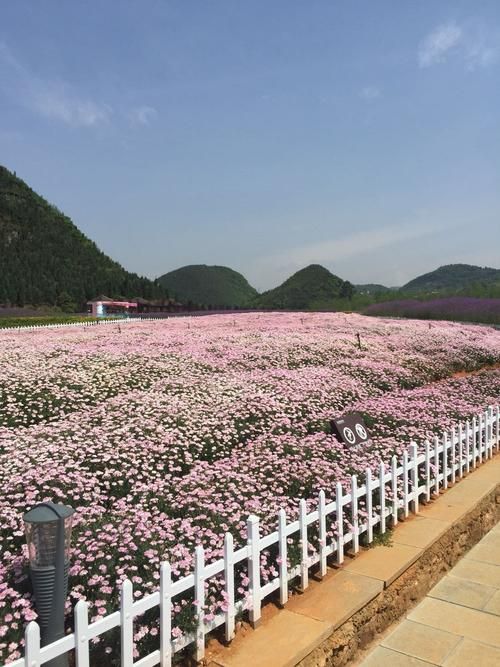 贵州省黔西南布依族苗族自治州兴义市疫情最新实数据_贵州黔西南洲兴义市