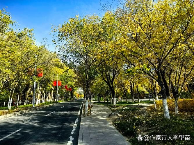 木垒哈萨克自治县中高风险地区疫情:木垒县现在怎么样