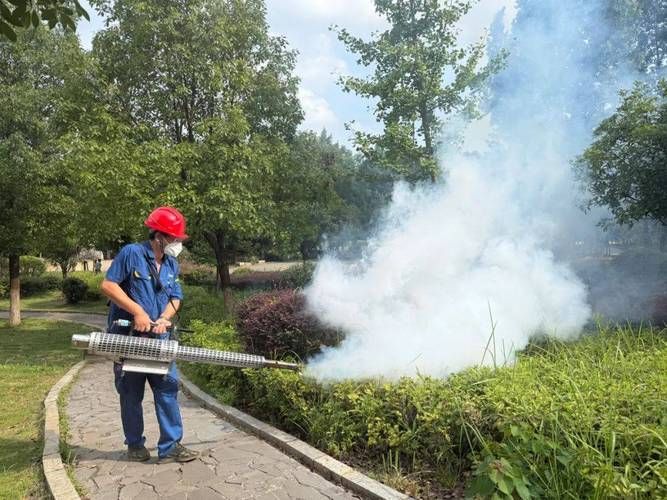 【最新疫情临床嘉禾县_嘉禾县刚刚发生的重大新闻】