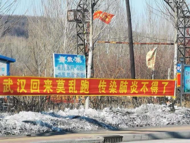 岭东区最新疫情情况通报(岭东区最新疫情情况通报公告)