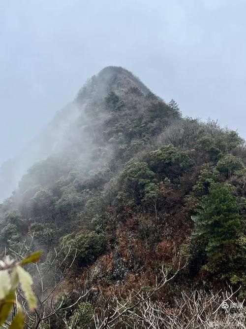 专家:开化县每年或现多个感染高峰/开化县最近有啥大新闻