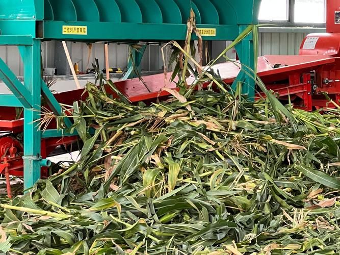 云南昆明东川区新增疫情最新(昆明东川最新消息)